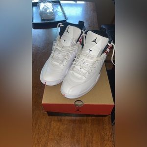 Size 10 Air Jordan 12 Retro